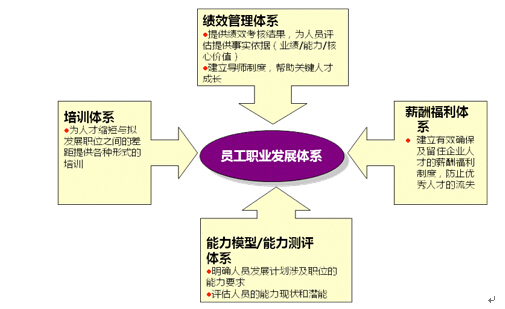 员工职业发展体系