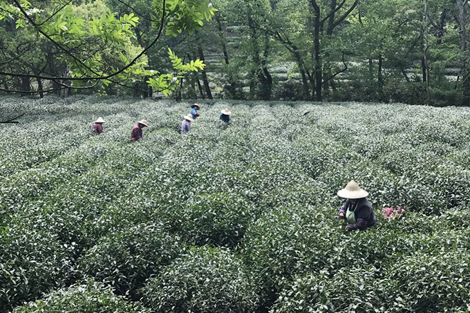 吉利，集团，人力资源，转型，分享，有效性，重要性，共享服务，业务伙伴，HRBP,HRSSC